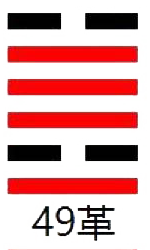 ���׵�49��_����(����)_��������